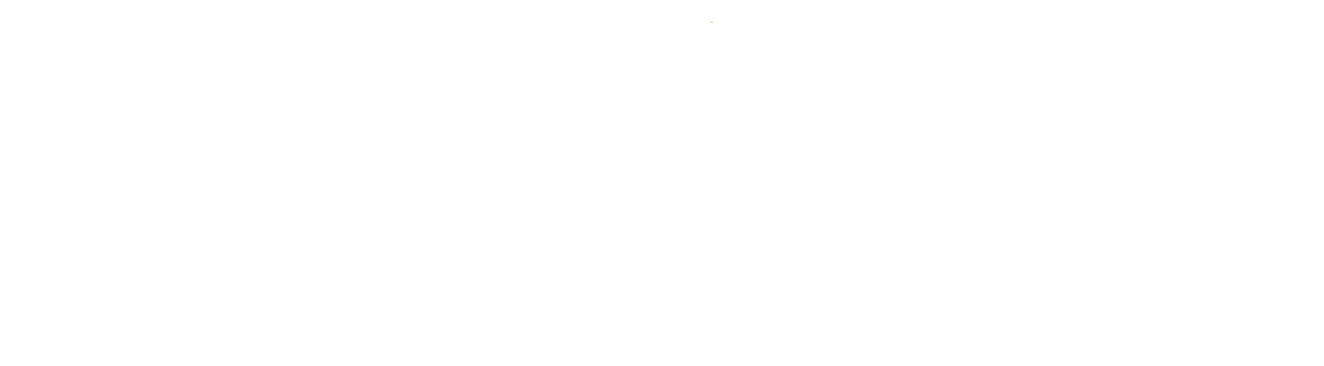 Swisshaus ImmoBoutique AG